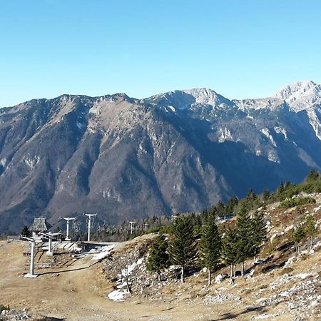 Chalet Zlatica Velika Planina Stahovica Exteriör bild