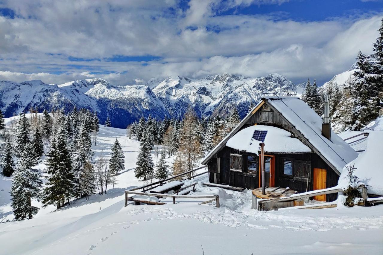 Chalet Zlatica Velika Planina Stahovica Exteriör bild