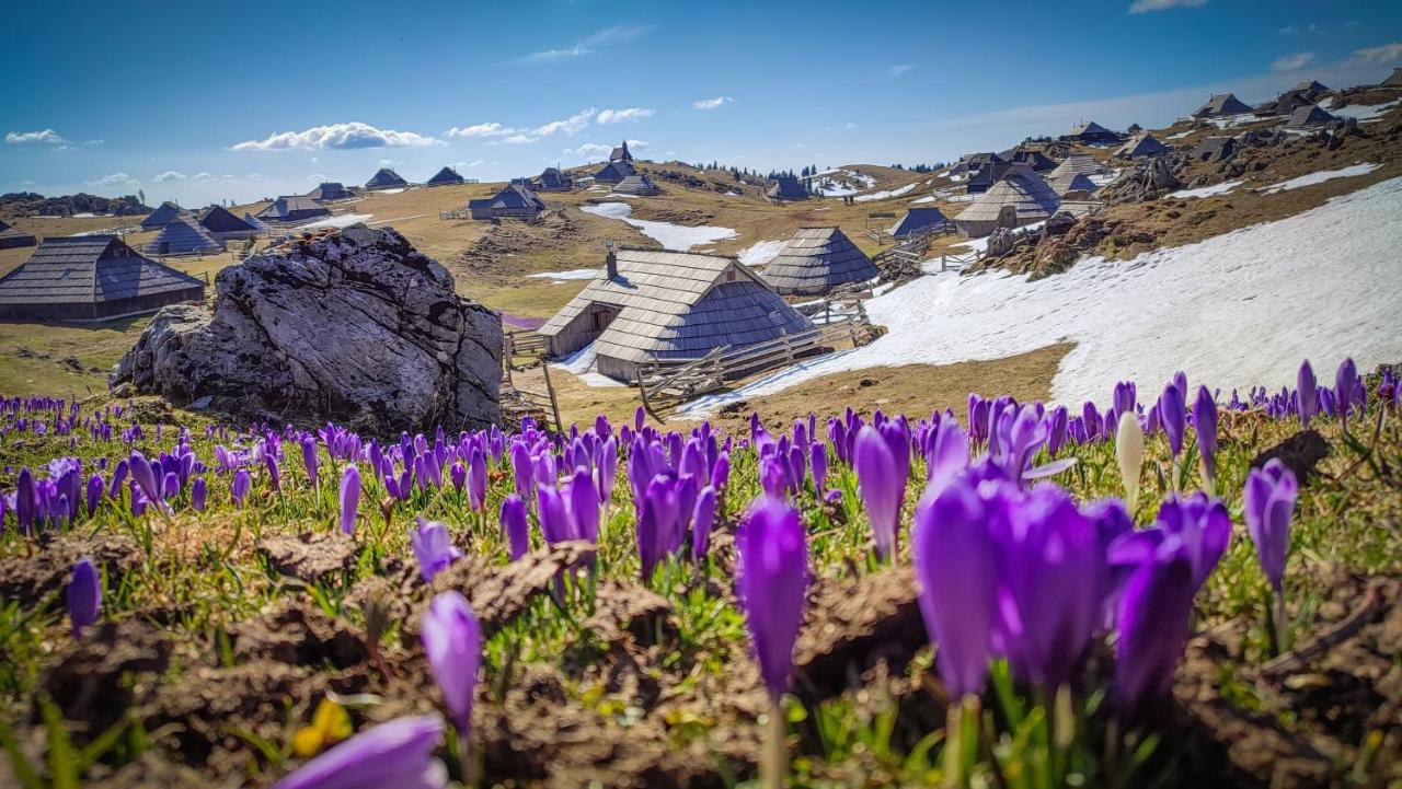 Chalet Zlatica Velika Planina Stahovica Exteriör bild
