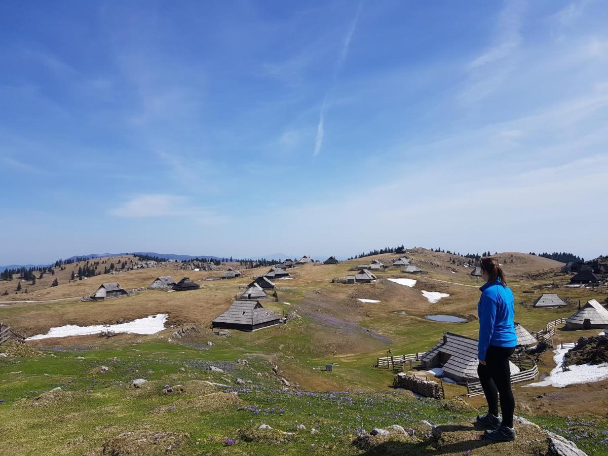 Chalet Zlatica Velika Planina Stahovica Exteriör bild