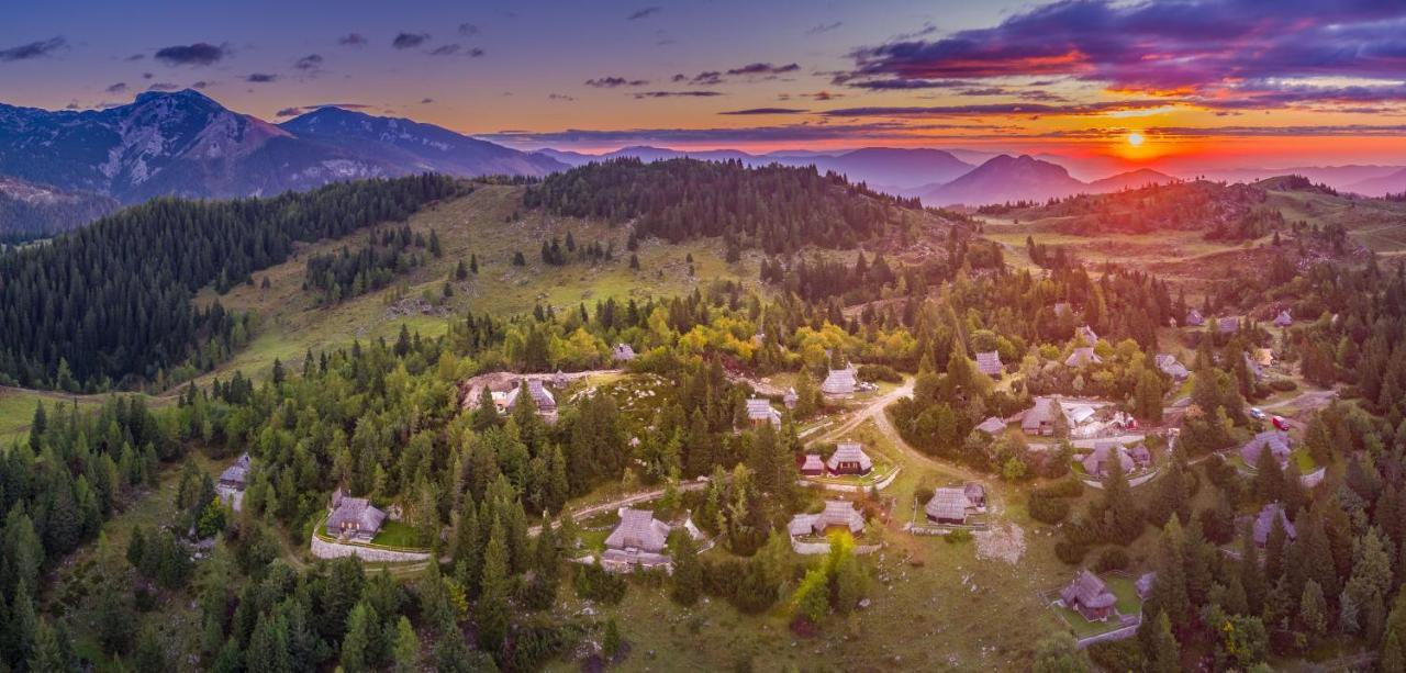 Chalet Zlatica Velika Planina Stahovica Exteriör bild