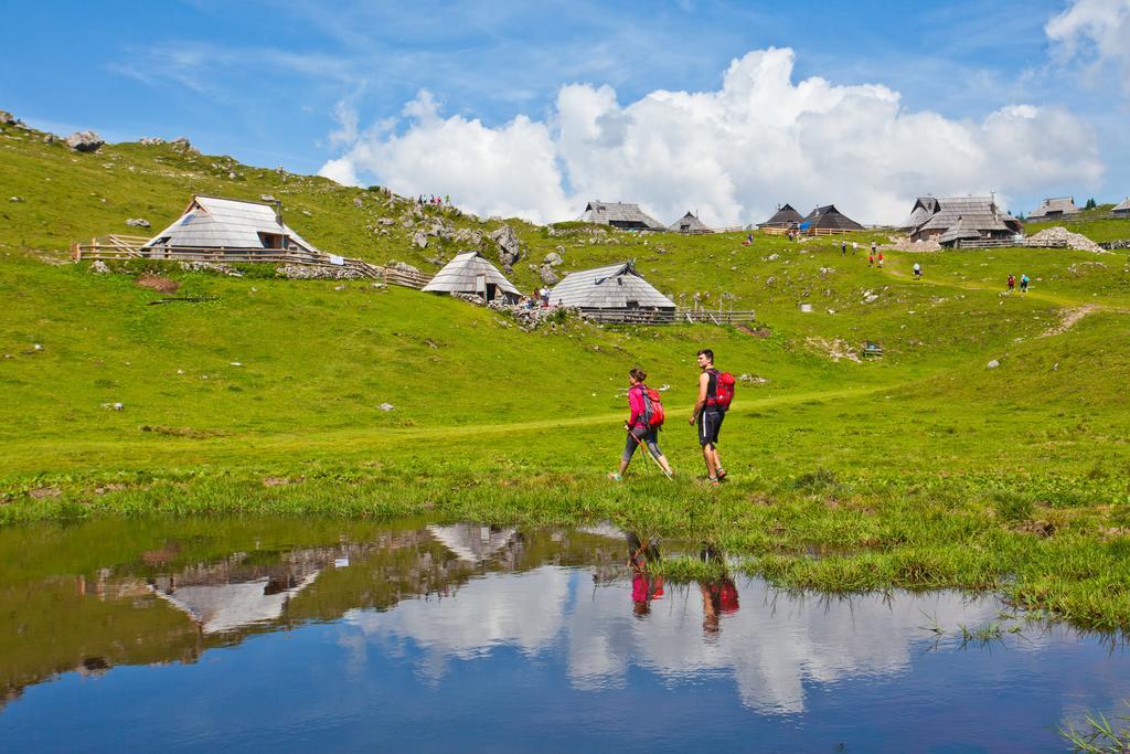 Chalet Zlatica Velika Planina Stahovica Exteriör bild