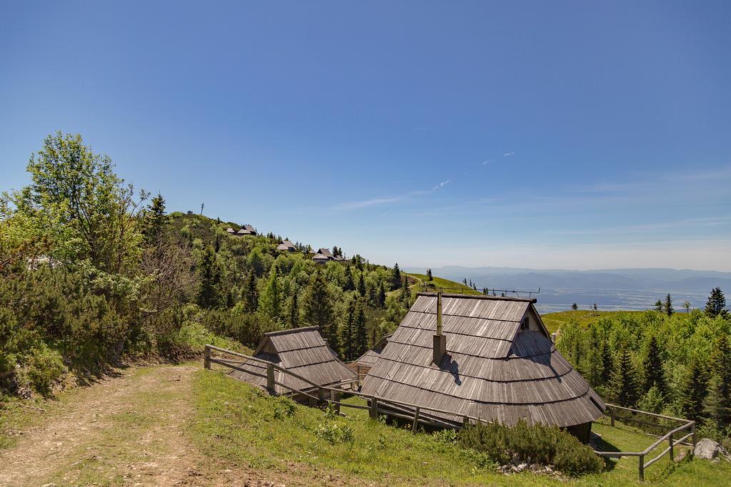 Chalet Zlatica Velika Planina Stahovica Exteriör bild