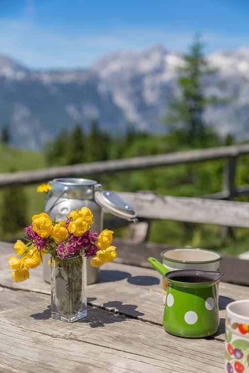 Chalet Zlatica Velika Planina Stahovica Exteriör bild
